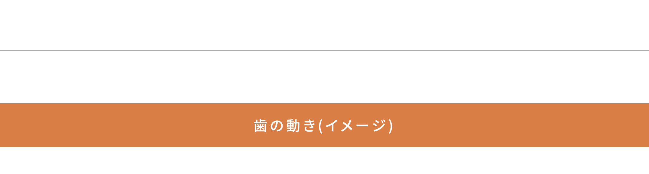 歯の動き(イメージ)